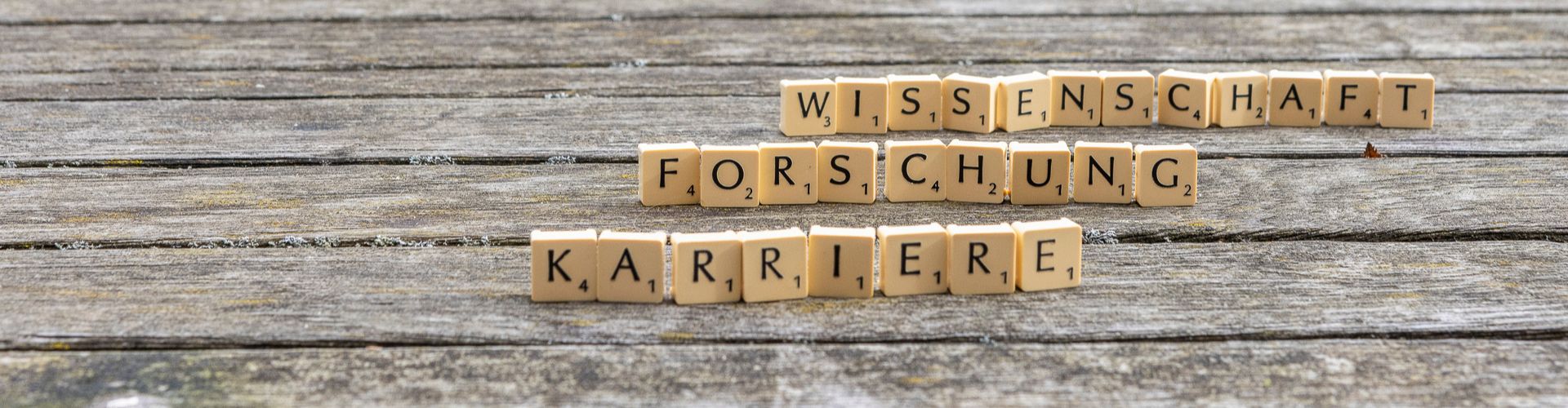 Wissenschaft, Forschung, Karriere