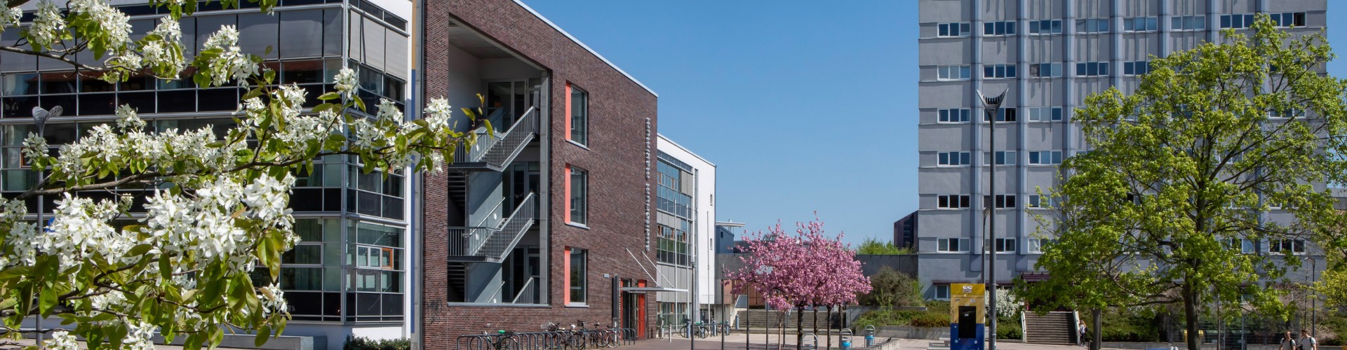 Blick auf den Viadrina Campusplatz im Frühling