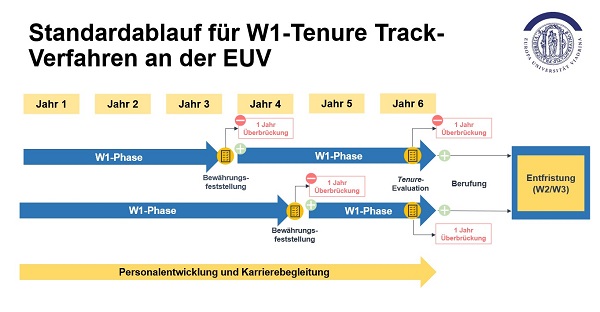 Grafik zum Standardablauf im Tenure Track