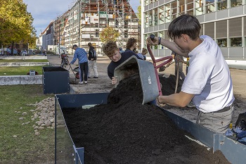 hochbeete-befuellung-20241009_EUV2753-mini