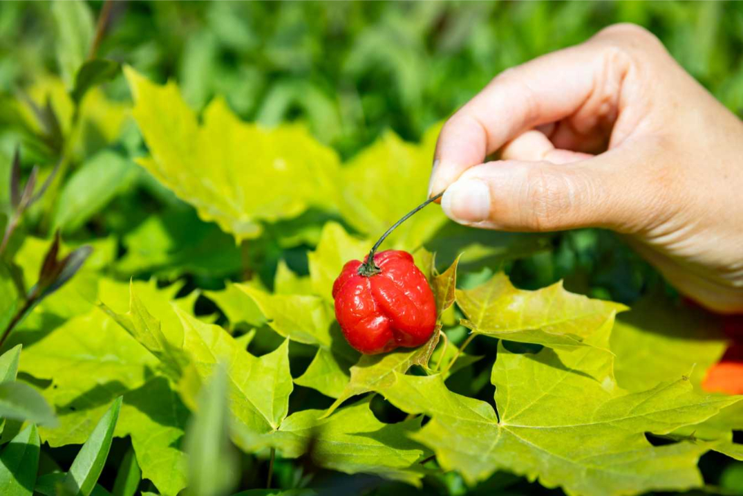 Interview10_Rößner Object