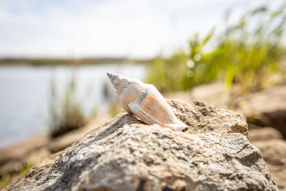 Interview05_Klück Object