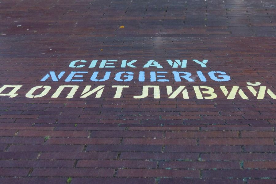 Schriftzug neugierig Schriftzug neugierig